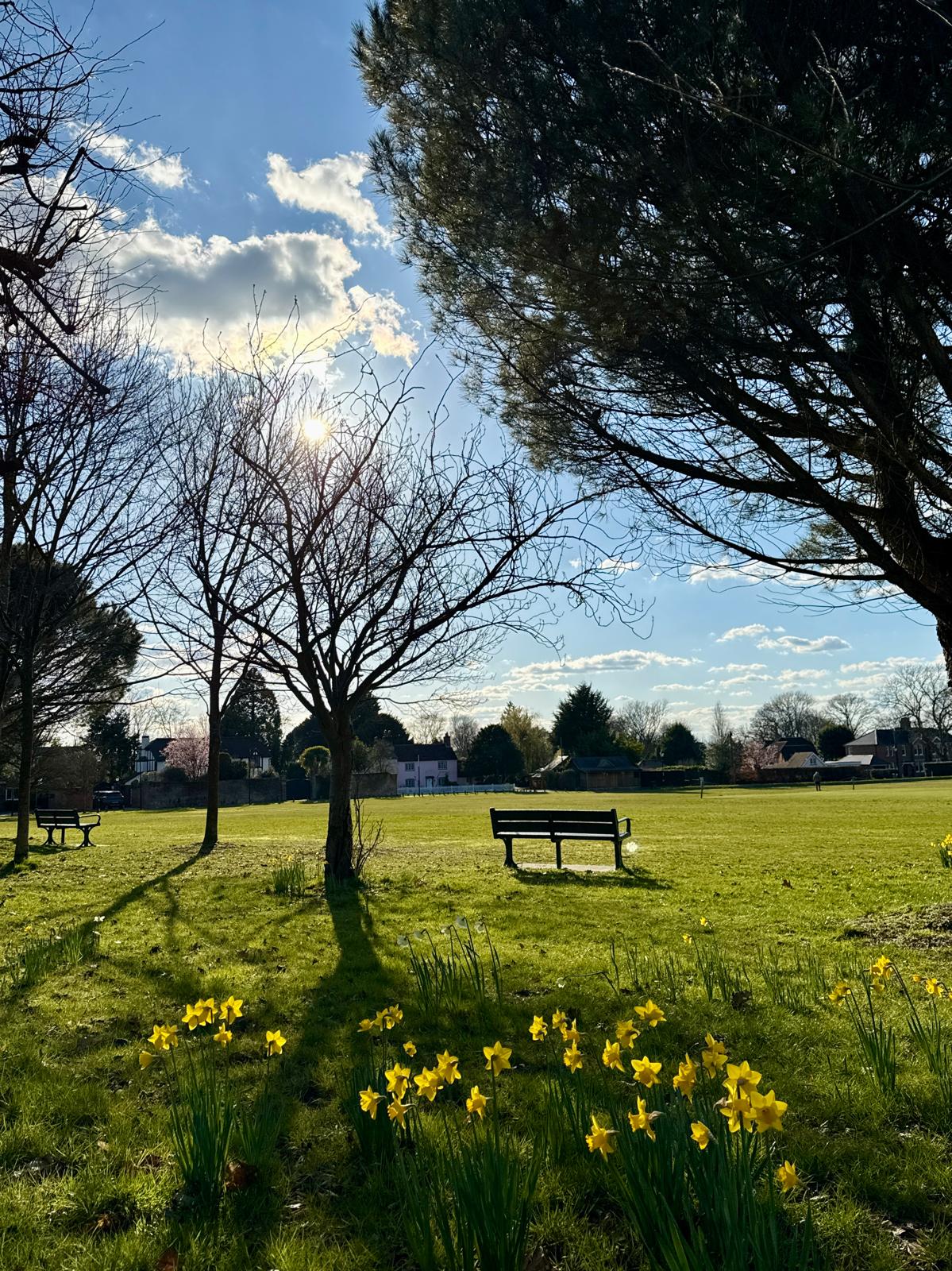 Finding Your Rhythm in the Middle Ground: Southampton Housing Supply - August 2026